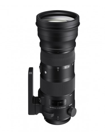 Sigma 150-600mm F5.0-6.3 DG OS HSM Nikon CONTEMPORARY 